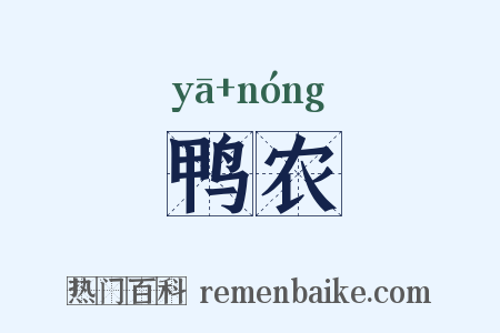 鸭农是什么意思的图片